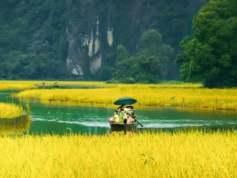 Trải nghiệm ngồi thuyền xuôi dòng sông Ngô Đồng mang lại cho du khách những bức ảnh thiên nhiên hùng vĩ