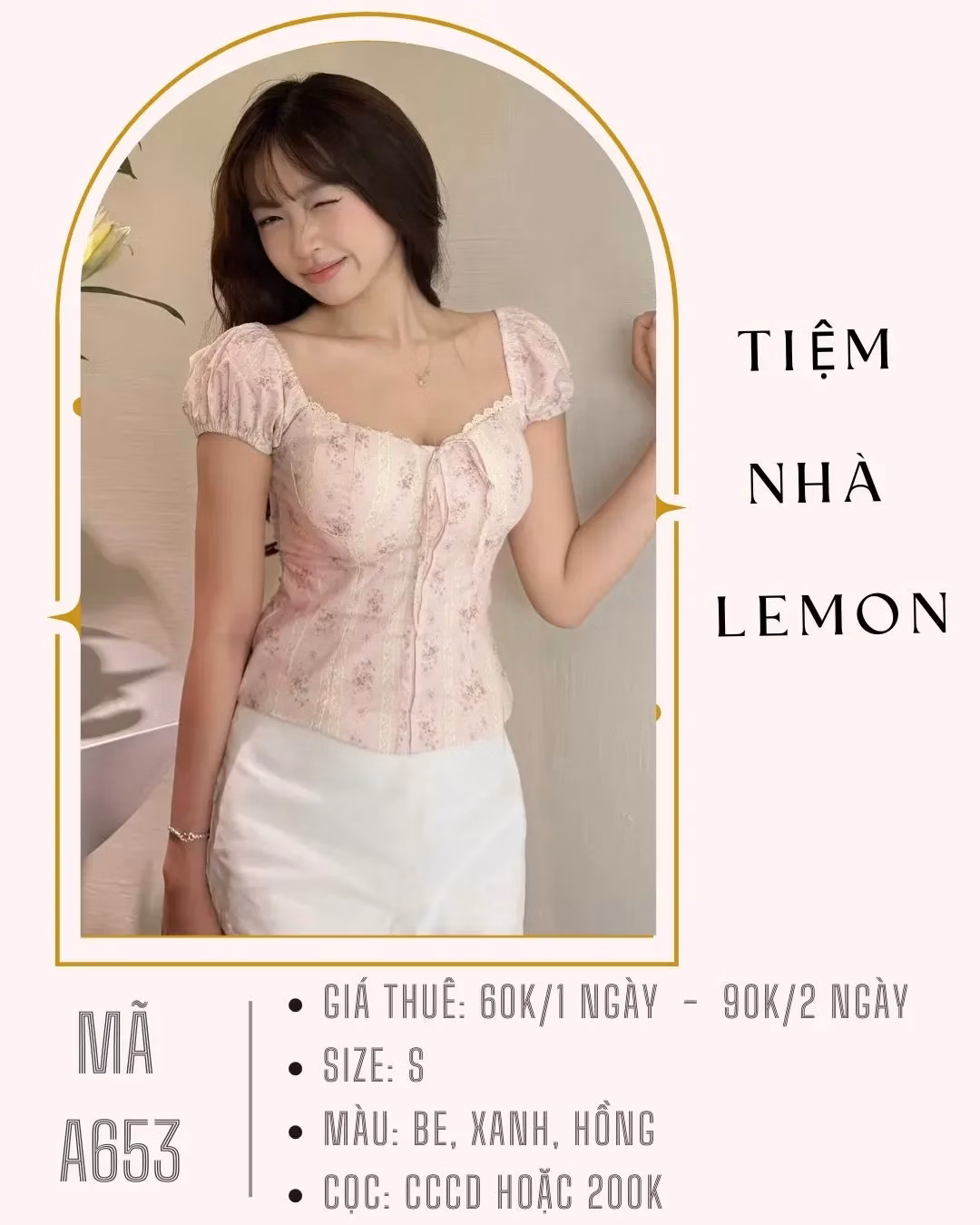 Tiemnhalemon #thuedogiare #thuedothanhhoa #chothuevaychupanh #thuevaychupanh 2