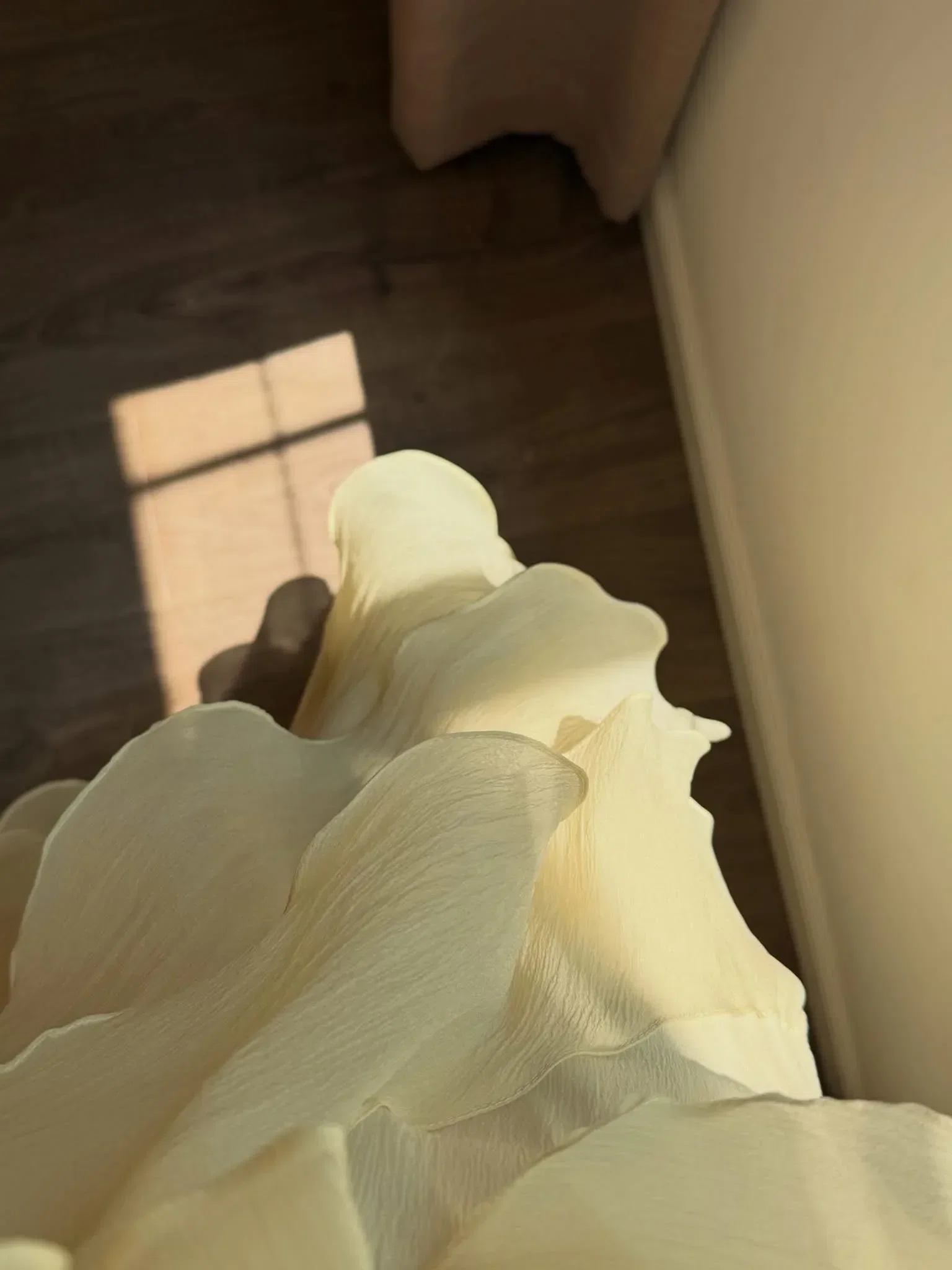 Rosanie Dress - size L form nhỏ fit M, L 7