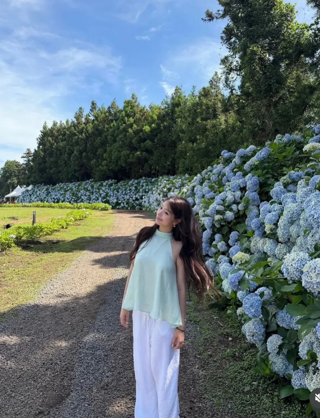Áo yến xanh tiffany Size S 3