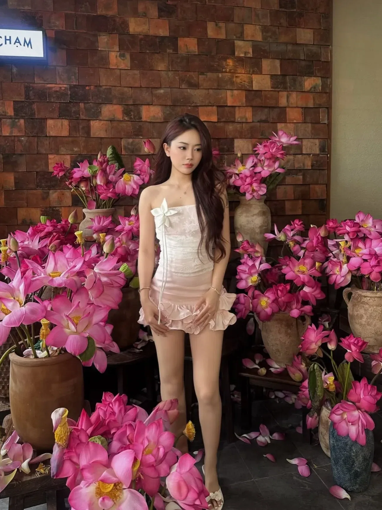 Amelie V219 Blush Set/ Size: S(form nhỏ, ngắn 82/64/86) 3