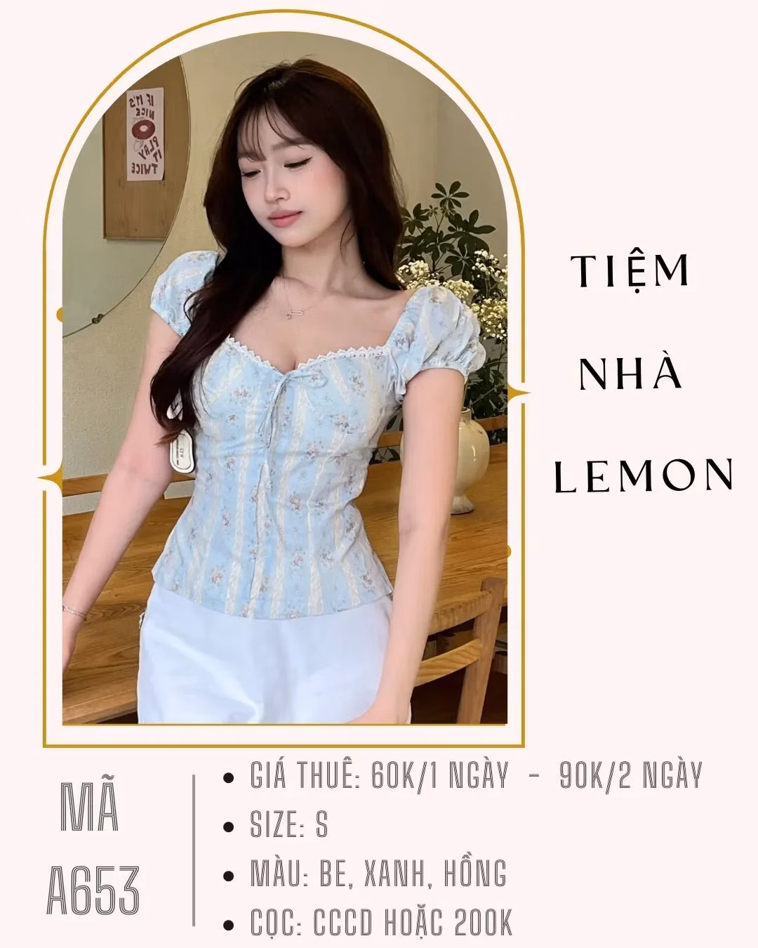 Tiemnhalemon #thuedogiare #thuedothanhhoa #chothuevaychupanh #thuevaychupanh 3