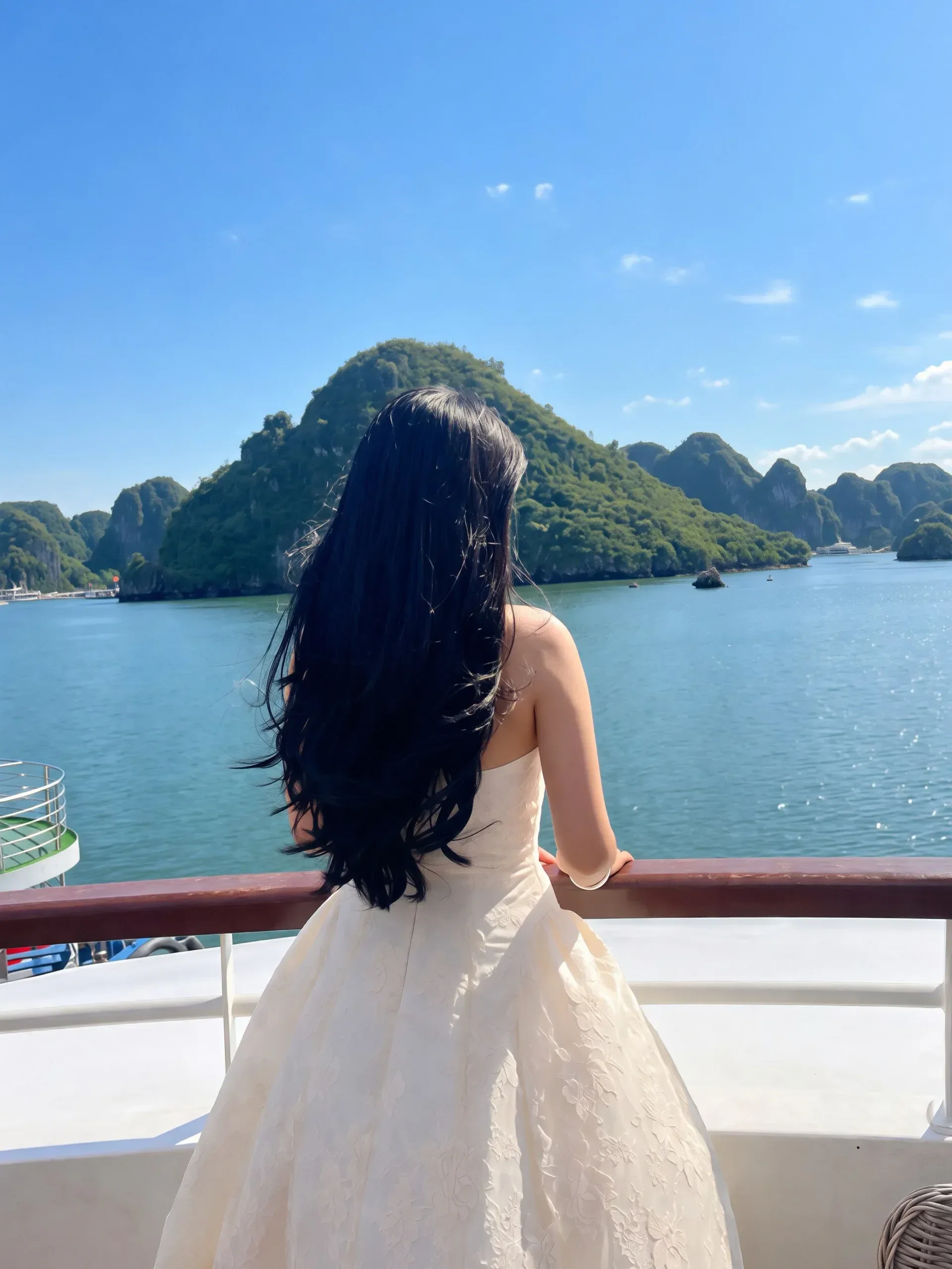 Khau DESIGN - 270/N, thêm ngày 100 3