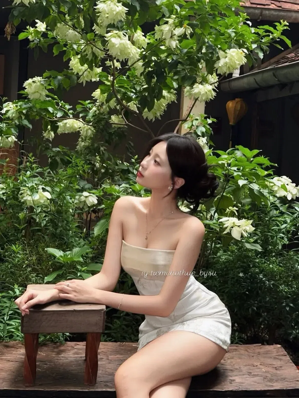 V608 Gấm Ngà SIZE S 3