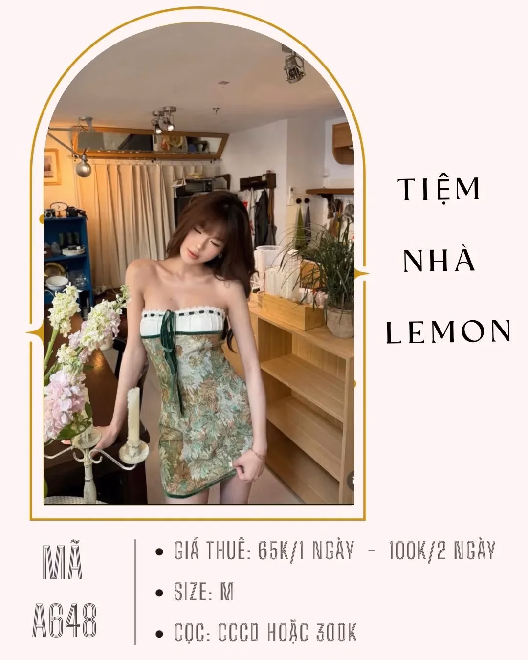 Tiemnhalemon #thuedogiare #thuedothanhhoa #chothuevaychupanh #thuevaychupanh 1
