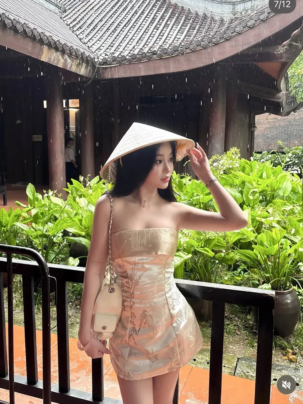 V608 Gấm Ngà SIZE S 3