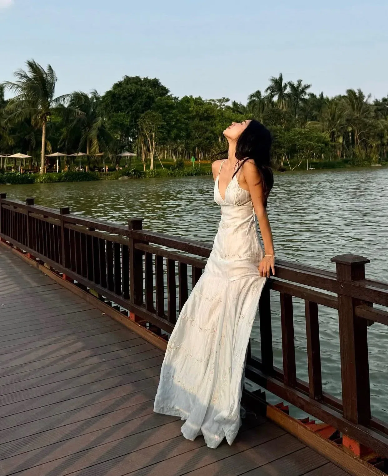 ĐẦM HOA NHÍ XANH 1