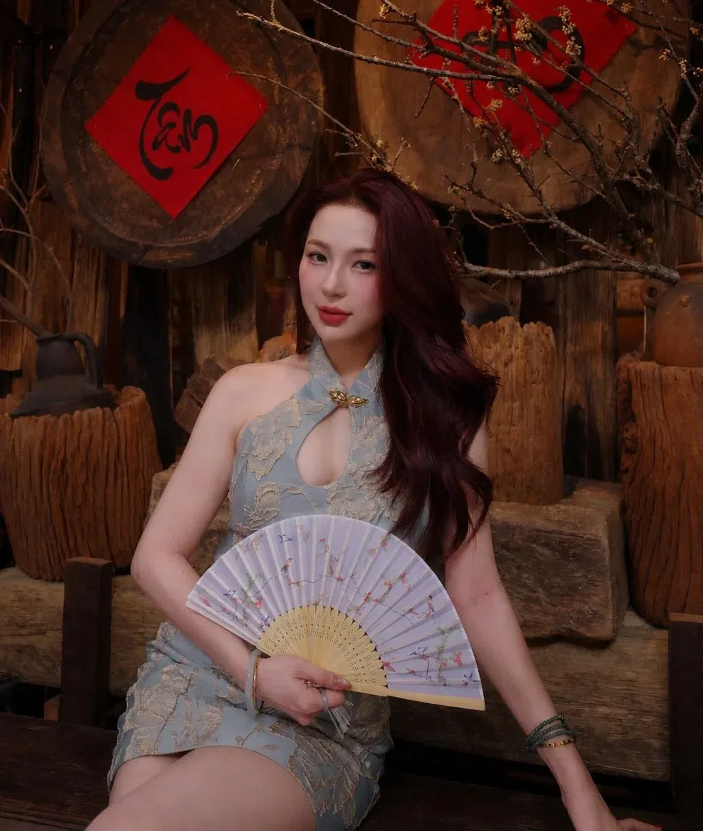 ĐẦM GẤM CỔ YẾM 5