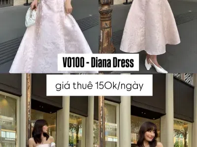 Diana dress màu hồng da
