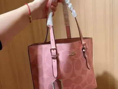 Túi to: 50k/ngày ( thêm ngày + 5k)