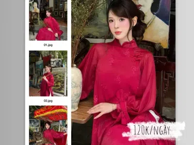 Cheap moment with WynAnh's dress