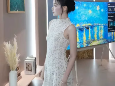 V260 Louise Lace Dress